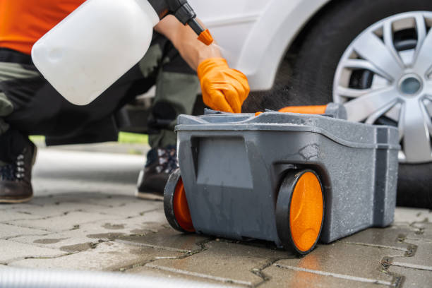 Best Stump Grinding and Removal  in Jesup, GA