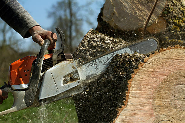 Soil Testing and Treatment in Jesup, GA